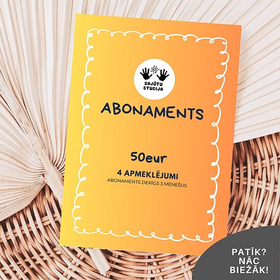 4 reižu ABONAMENTS rotaļu telpai ''Sajūtu studija''